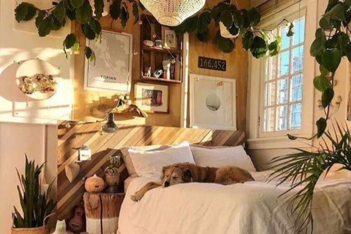 What's Lurking in Your Bed If You Haven't Washed the Sheets for a Week?