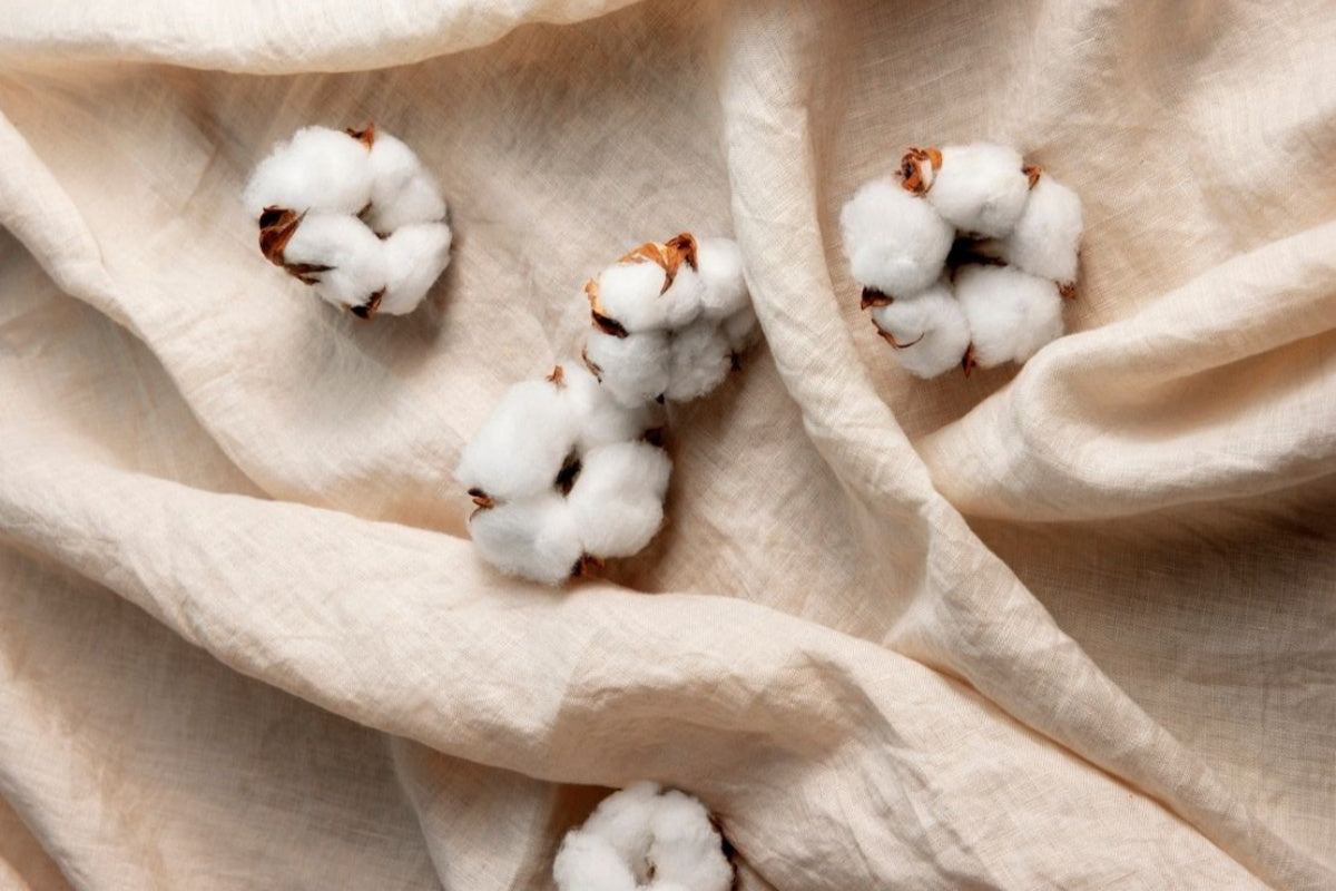 What is Organic Cotton?