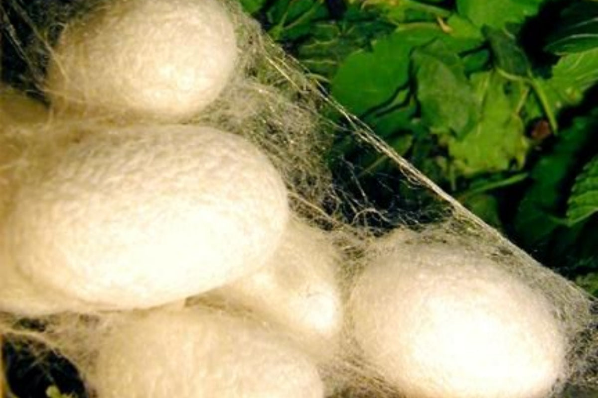 What is Tussah Silk?