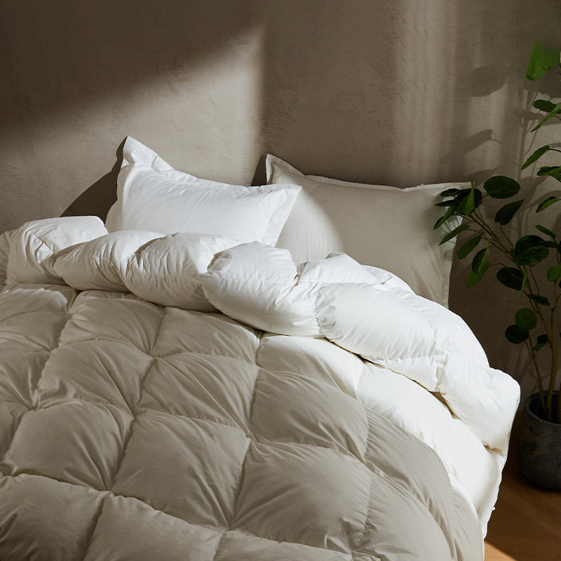 APSMILE white down comforter on a bed, two matching pillows resting against a wall, potted plant sitting on the floor nearby.