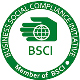 APSMILE is socially responsible and BSCI certified to protect labor rights and compliance in the supply chain.