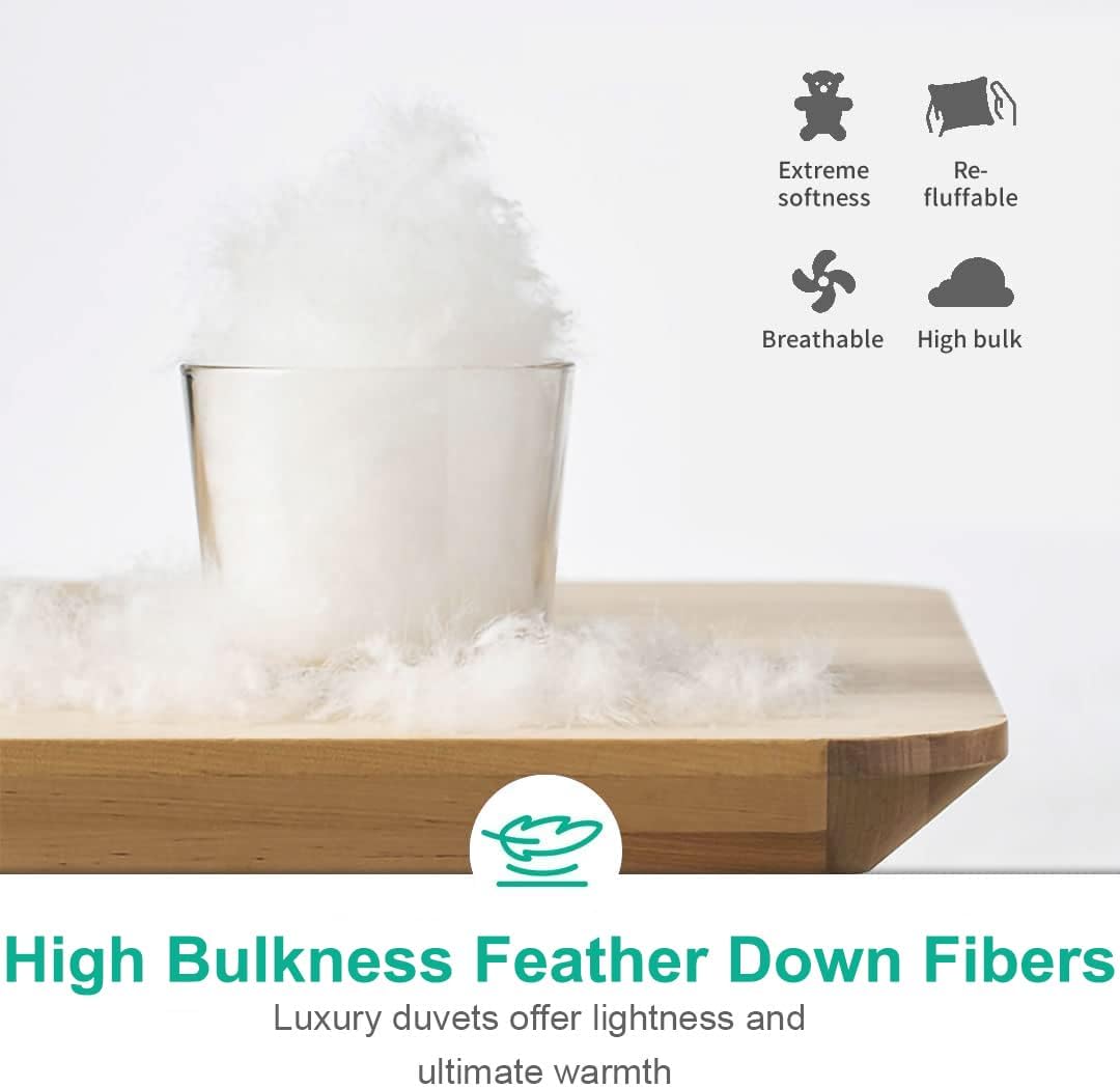 APSMILE Queen Down Feather Comforter, Ultra-Soft All Season Duvet Insert, Hotel Style with 8 Ties