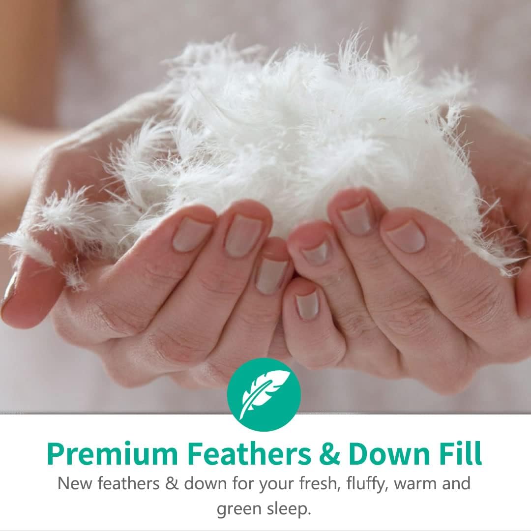 APSMILE Lightweight Organic Cotton Down Comforter Queen, Ivory White