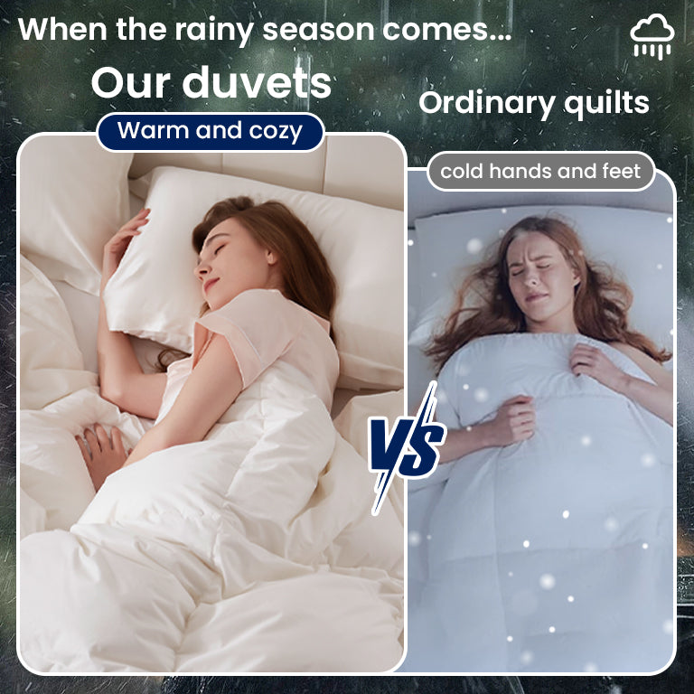 Sky-Classic Organic Cotton Goose Feather Down Comforter All-Season and Winter-weight Feather & Down Duvet Insert