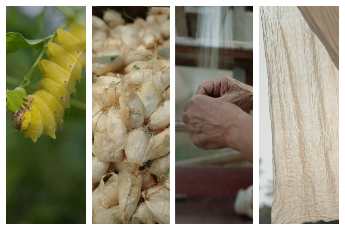 Encountering Nature's Gift: The Natural Journey of Wild Golden Silk