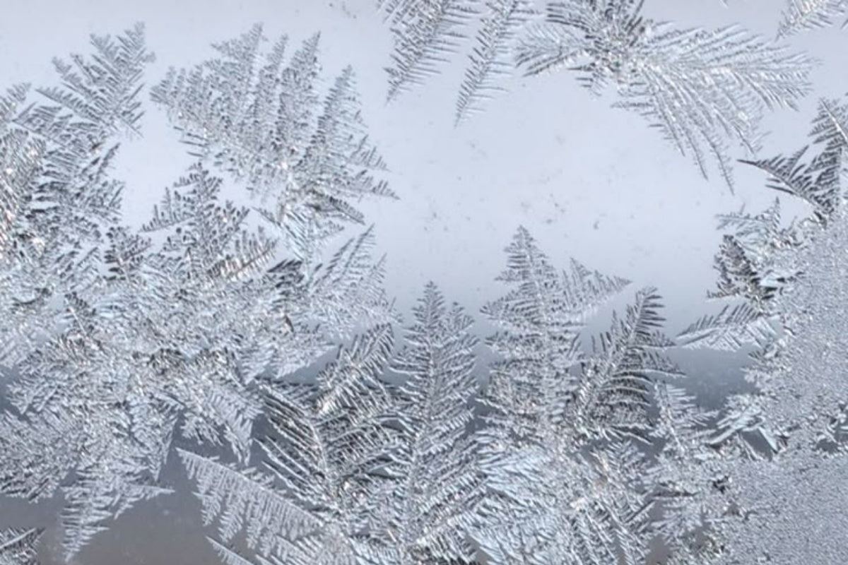 Cold Hands & Feet in Fall/Winter? Stock Up on These Warmth Essentials Now!