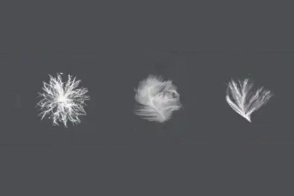Compare down vs fiberfill vs feather fiber