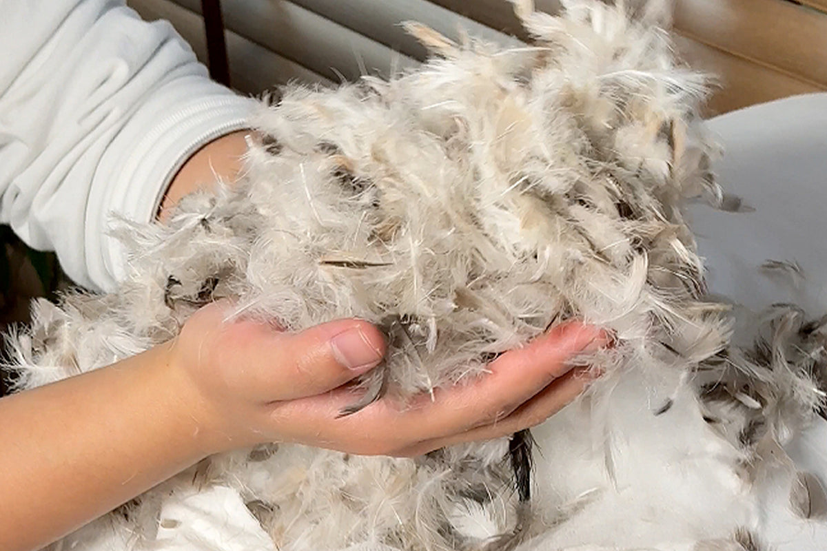 How to Pick the Perfect Down Comforter: Your Ultimate Buying Guide