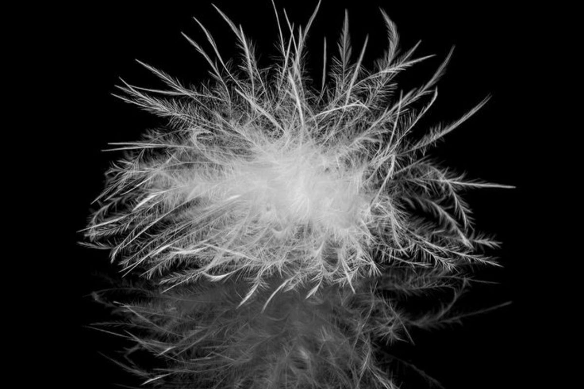 Essential Tips for Buying High-Quality Down Comforters