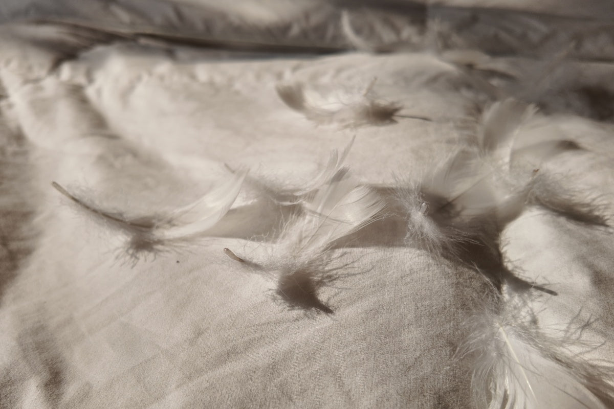 How to Wash a Down Comforter: The Ultimate Guide to Home Care