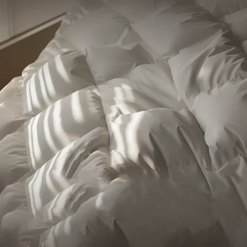 Close-up of an APSMILE white down comforter with sunlight filtering through a window.
